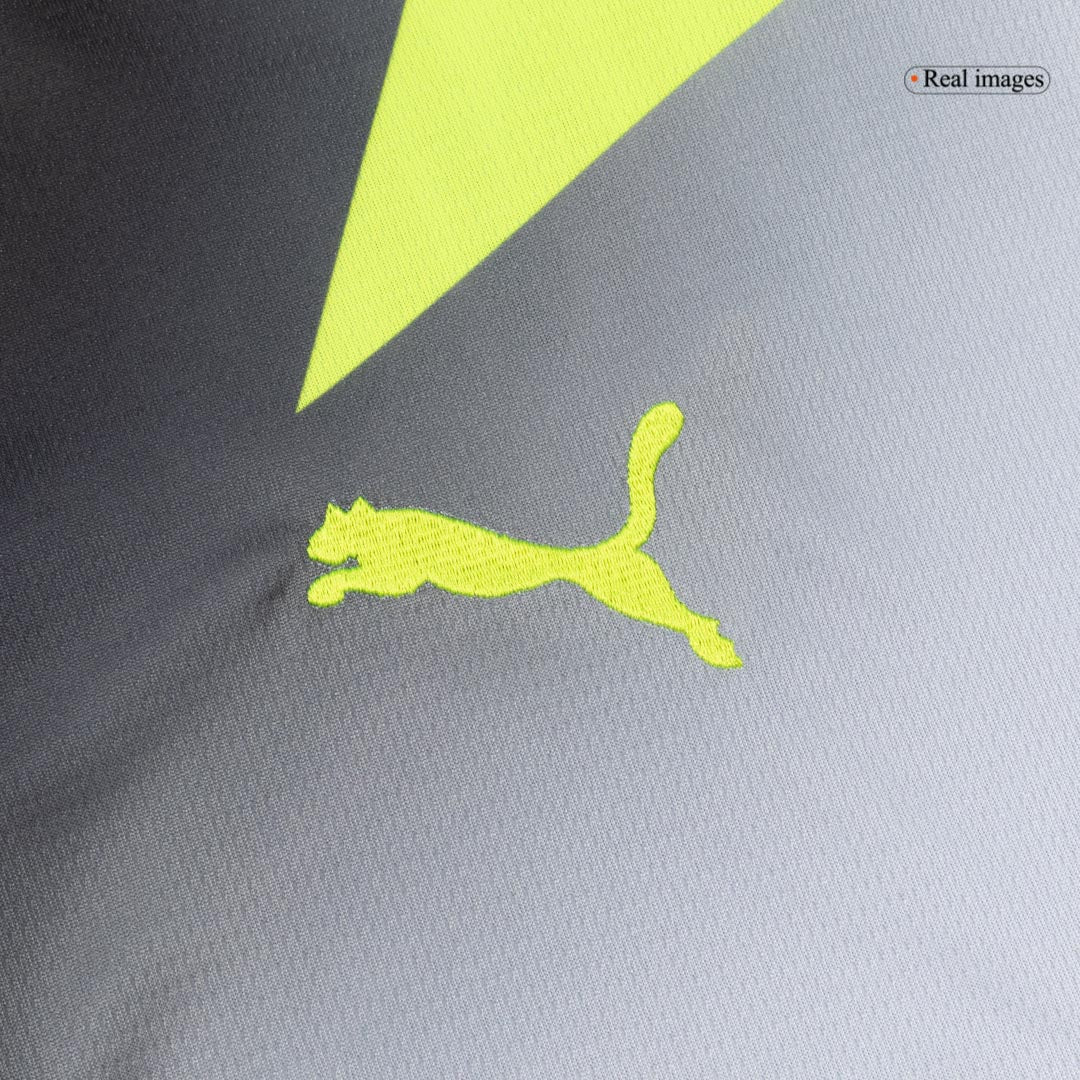 Borussia Dortmund Mens Away Soccer Kit 2025/26 Gray